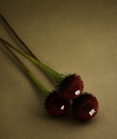 Should I insure my jewelry?