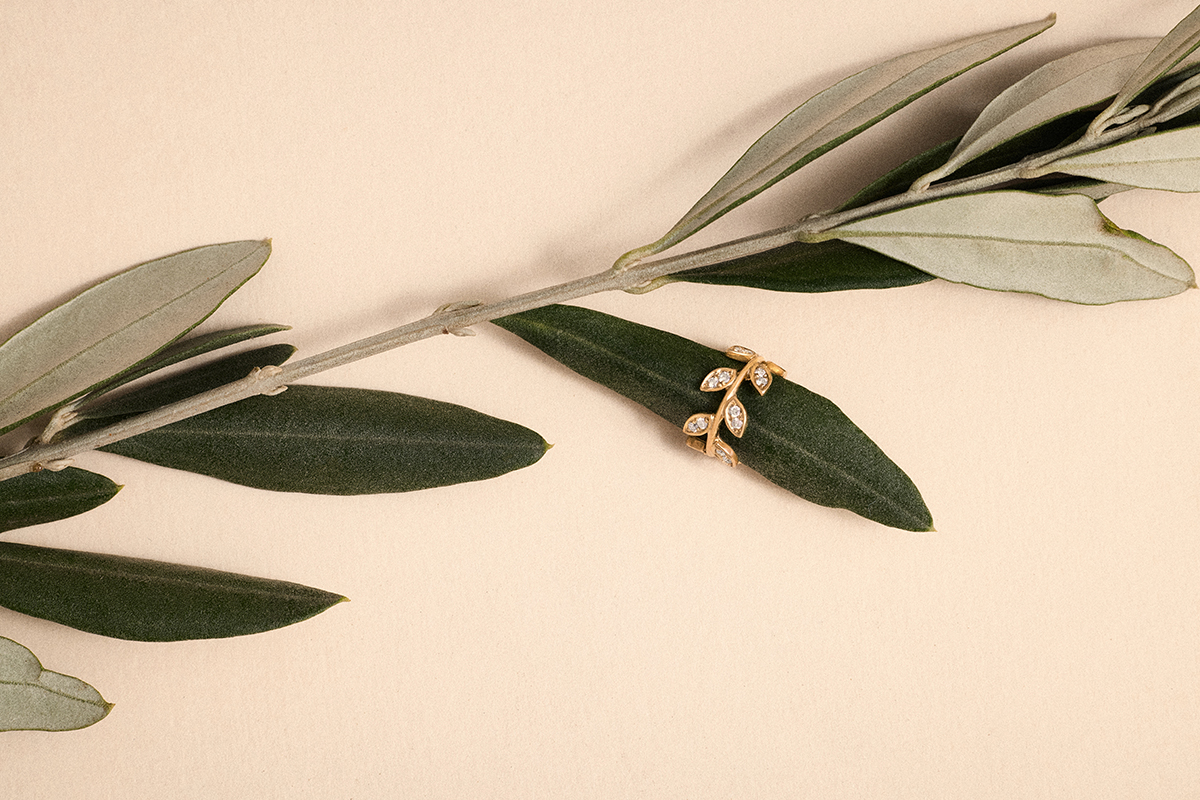 Bring  ethical stewardship